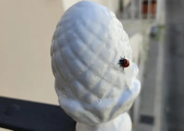 بيت للعطل Dimora Storica Rotonda *