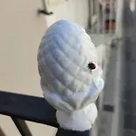 بيت للعطل Dimora Storica Rotonda *